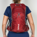 Mochila Curtlo Kalahari 12L Bordô